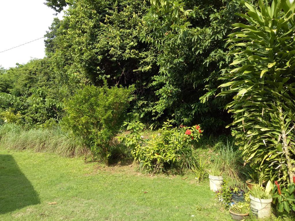 Nas Villaria Langkawi Pantai Cenang  Εξωτερικό φωτογραφία